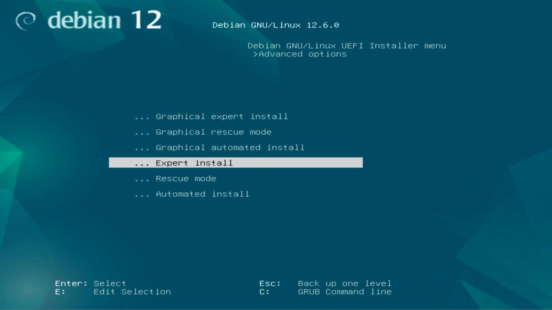 A screen capture from the Debian installer, showing that we're
           in Advanced options. Expert install has been selected.